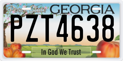 GA license plate PZT4638