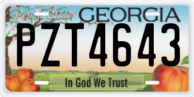 GA license plate PZT4643