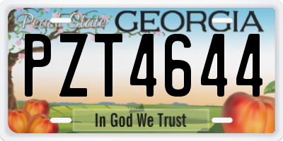GA license plate PZT4644