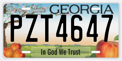 GA license plate PZT4647