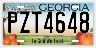 GA license plate PZT4648