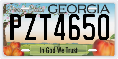 GA license plate PZT4650