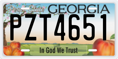 GA license plate PZT4651