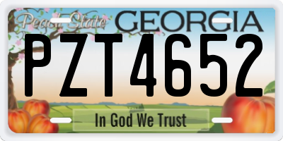 GA license plate PZT4652