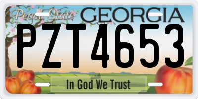 GA license plate PZT4653