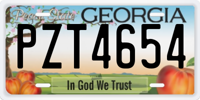 GA license plate PZT4654
