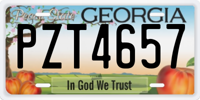GA license plate PZT4657