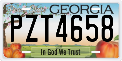 GA license plate PZT4658