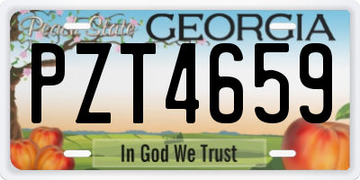 GA license plate PZT4659