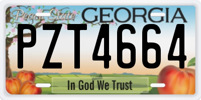 GA license plate PZT4664