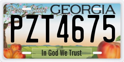 GA license plate PZT4675