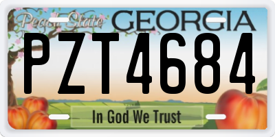 GA license plate PZT4684