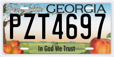 GA license plate PZT4697