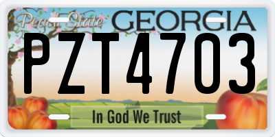 GA license plate PZT4703