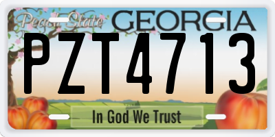 GA license plate PZT4713
