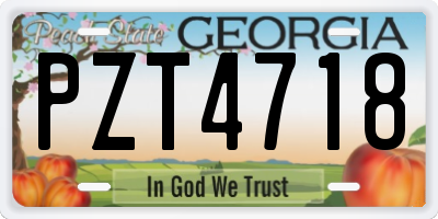 GA license plate PZT4718