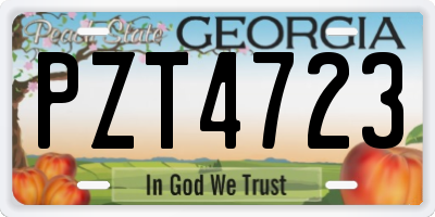 GA license plate PZT4723