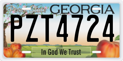 GA license plate PZT4724