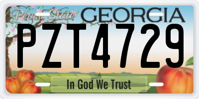 GA license plate PZT4729