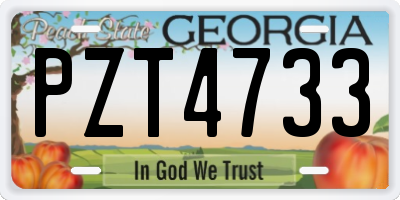 GA license plate PZT4733