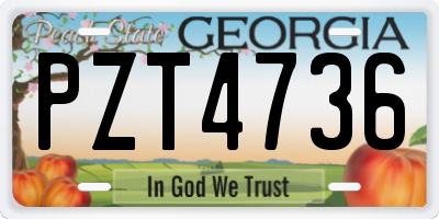 GA license plate PZT4736