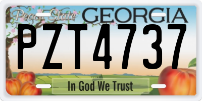 GA license plate PZT4737