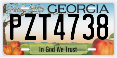 GA license plate PZT4738