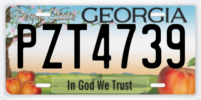GA license plate PZT4739