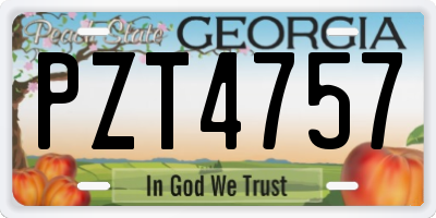GA license plate PZT4757