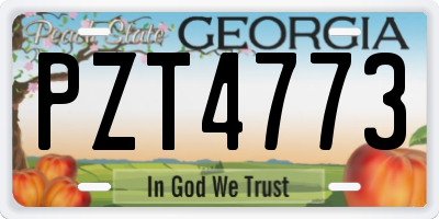 GA license plate PZT4773