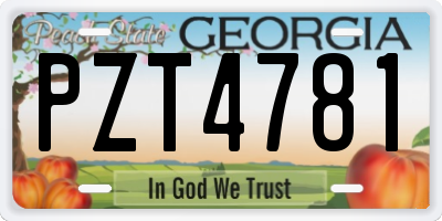 GA license plate PZT4781