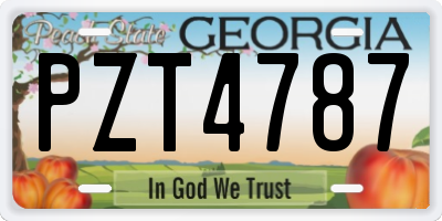 GA license plate PZT4787