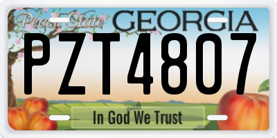 GA license plate PZT4807