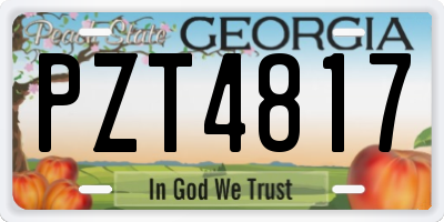 GA license plate PZT4817