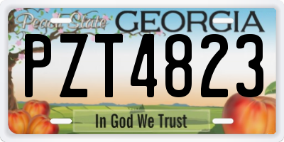 GA license plate PZT4823