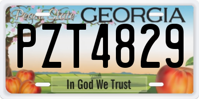 GA license plate PZT4829