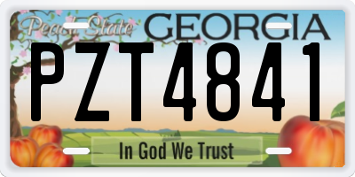 GA license plate PZT4841