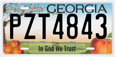 GA license plate PZT4843