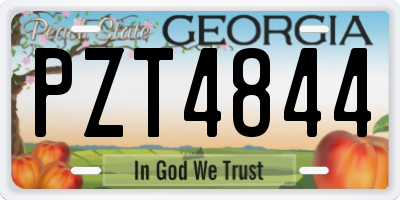 GA license plate PZT4844