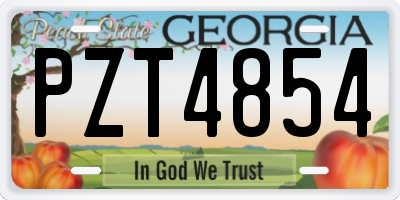 GA license plate PZT4854