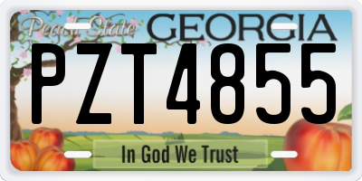GA license plate PZT4855