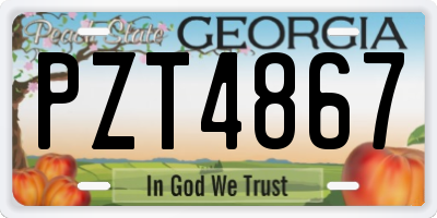 GA license plate PZT4867