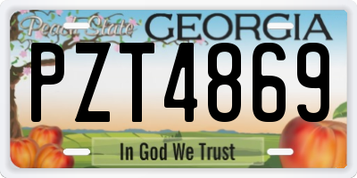 GA license plate PZT4869