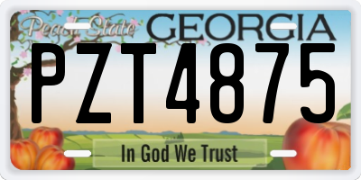 GA license plate PZT4875