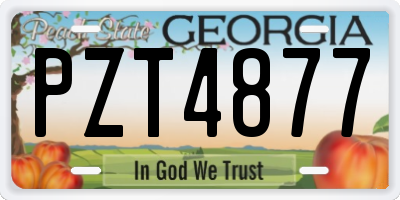 GA license plate PZT4877
