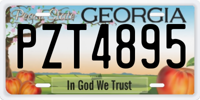 GA license plate PZT4895