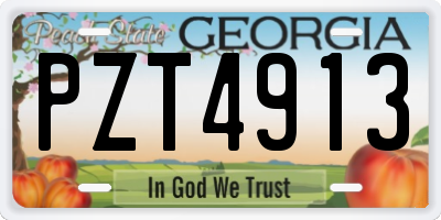 GA license plate PZT4913