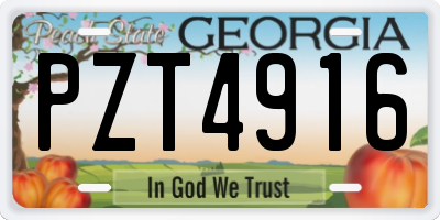 GA license plate PZT4916