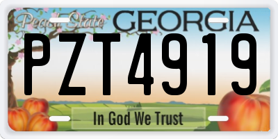 GA license plate PZT4919
