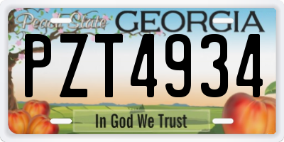 GA license plate PZT4934